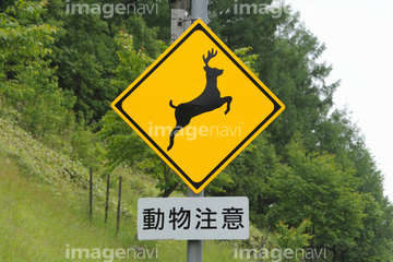 動物警戒標識 の画像素材 交通イメージ 乗り物 交通の写真素材ならイメージナビ