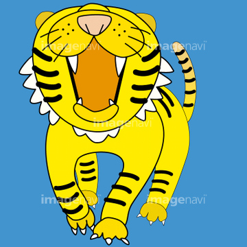 動物のイラスト トラ イラスト の画像素材 生き物 イラスト Cgのイラスト素材ならイメージナビ