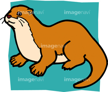 カワウソ の画像素材 生き物 イラスト Cgの写真素材ならイメージナビ