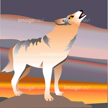 日本狼 の画像素材 生き物 イラスト Cgの写真素材ならイメージナビ
