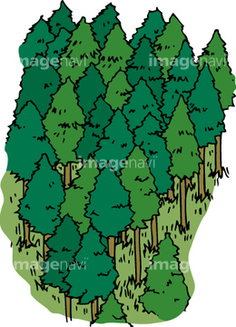森林 針葉樹林 ロイヤリティフリー イラスト の画像素材 花 植物 イラスト Cgのイラスト素材ならイメージナビ