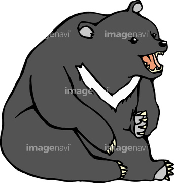 熊 イラスト ツキノワグマ の画像素材 生き物 イラスト Cgのイラスト素材ならイメージナビ