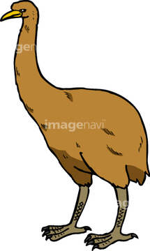 ジャイアントモア の画像素材 生き物 イラスト Cgの写真素材ならイメージナビ