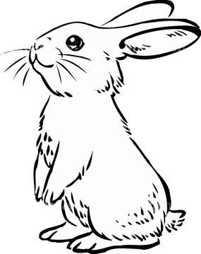 イラスト Cg 年賀 グリーティング 干支 ウサギ の画像素材 イラスト素材ならイメージナビ