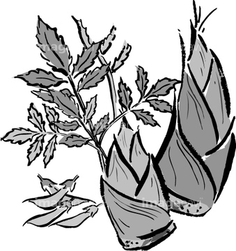 竹 タケノコ 竹 手書き イラスト の画像素材 食べ物 飲み物 イラスト Cgのイラスト素材ならイメージナビ