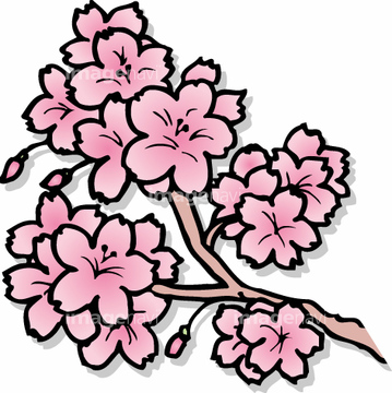 桜 八重桜 イラスト ベクター の画像素材 季節 イベント イラスト Cgのイラスト素材ならイメージナビ