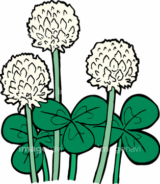 イラスト Cg 花 植物 若葉 クローバー シロツメクサ の画像素材 イラスト素材ならイメージナビ