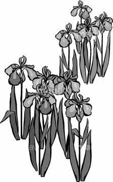 画像素材 花 植物 イラスト Cgの写真素材ならイメージナビ