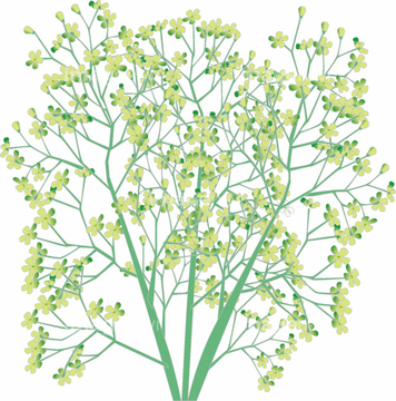 カスミソウ の画像素材 色 光 バックグラウンドの写真素材ならイメージナビ