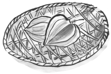 鬼灯 夏 の画像素材 その他植物 花 植物の写真素材ならイメージナビ