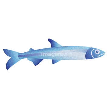 魚 イラスト 淡水魚 ワカサギ ロイヤリティフリー の画像素材 生き物 イラスト Cgのイラスト素材ならイメージナビ