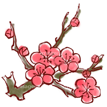 イラスト Cg 花 植物 梅 ツバキ の画像素材 イラスト素材ならイメージナビ