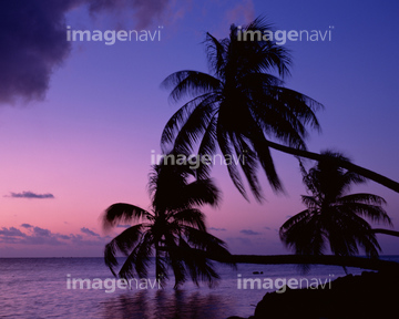 ソシエテ諸島 の画像素材 オセアニア 国 地域の写真素材ならイメージナビ