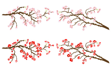 梅の枝 の画像素材 花 植物の写真素材ならイメージナビ