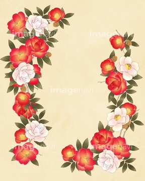 椿 イラスト 和風 白色 の画像素材 花 植物 イラスト Cgのイラスト素材ならイメージナビ