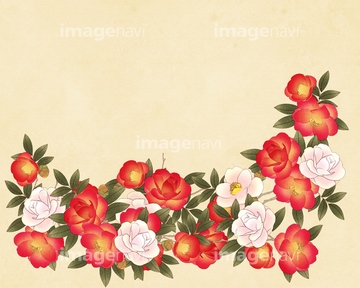椿 イラスト 和風 枠状 の画像素材 花 植物 イラスト Cgのイラスト素材ならイメージナビ