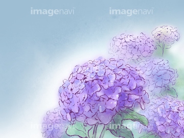 花 水彩 アジサイ イラスト の画像素材 季節 イベント イラスト Cgのイラスト素材ならイメージナビ