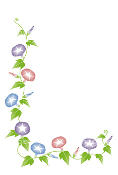 アサガオ つぼみ 綺麗 の画像素材 花 植物の写真素材ならイメージナビ
