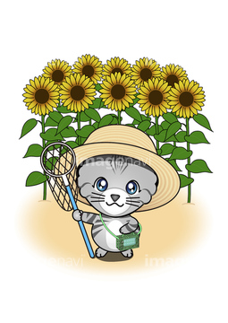 季節のイラスト ひまわり かわいい イラスト の画像素材 花 植物 イラスト Cgのイラスト素材ならイメージナビ