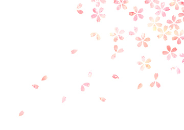 50 素晴らしい桜 イラスト サクラ 壁紙 最高の花の画像