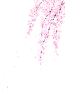 桜 桜の花びら イラスト の画像素材 季節 イベント イラスト Cgのイラスト素材ならイメージナビ