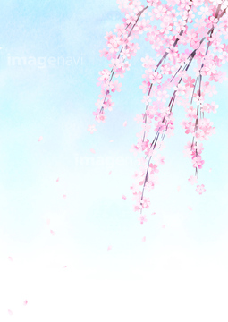 和風 の画像素材 花 植物 イラスト Cgの写真素材ならイメージナビ