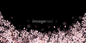 桜 イラスト 夜桜 綺麗 イラスト の画像素材 デザインパーツ イラスト Cgのイラスト素材ならイメージナビ