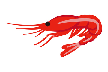 画像素材 生き物 イラスト Cgの写真素材ならイメージナビ