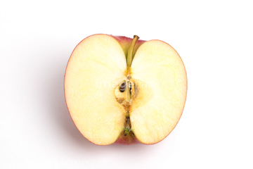 美容 健康 健康食品 果物 断面 リンゴ の画像素材 写真素材ならイメージナビ