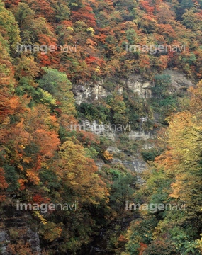 三途川 の画像素材 交通イメージ 乗り物 交通の写真素材ならイメージナビ