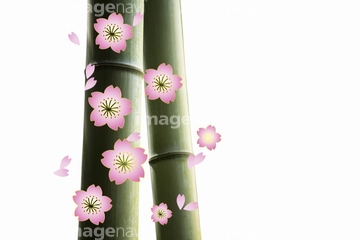 桜 桜の花びら 和風 イラスト の画像素材 花 植物 イラスト Cgのイラスト素材ならイメージナビ 桜 桜の花びら 和風 イラスト の画像素材 花 植物 イラスト Cgのイラスト素材ならイメージナビ