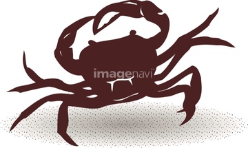 蟹 イラスト サワガニ の画像素材 食べ物 飲み物 イラスト Cgのイラスト素材ならイメージナビ