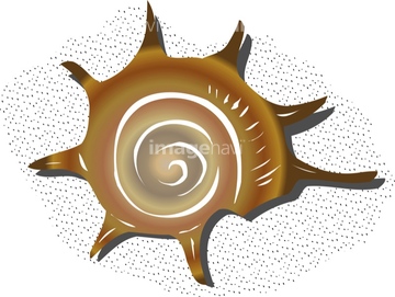 貝 貝殻 イラスト の画像素材 生き物 イラスト Cgのイラスト素材ならイメージナビ