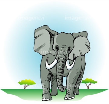 ゾウ イラスト アフリカゾウ の画像素材 生き物 イラスト Cgのイラスト素材ならイメージナビ