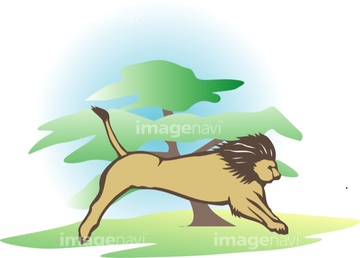 動物のイラスト ライオン イラスト の画像素材 生き物 イラスト Cgのイラスト素材ならイメージナビ