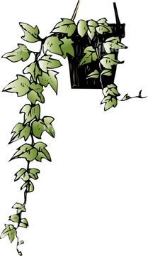 観葉植物 アイビー イラスト の画像素材 花 植物 イラスト Cgのイラスト素材ならイメージナビ