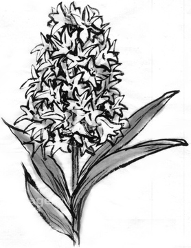 水墨画 花 梅 の画像素材 花 植物 イラスト Cgの写真素材ならイメージナビ