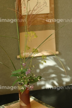 床の間 花瓶 の画像素材 部屋 住宅 インテリアの写真素材ならイメージナビ