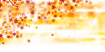 季節のイラスト 秋の風景 赤色 イラスト の画像素材 花 植物 イラスト Cgのイラスト素材ならイメージナビ