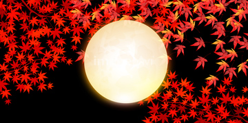 マンスリーセレクション 色彩豊かな秋 冬のイラストレーション 秋の紅葉 風景 イラスト の画像素材 花 植物 イラスト Cgの写真素材ならイメージナビ