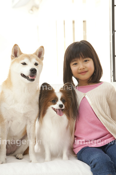 子ども 犬 日本人 日本犬 子犬 ロイヤリティフリー の画像素材 ペット 生き物の写真素材ならイメージナビ