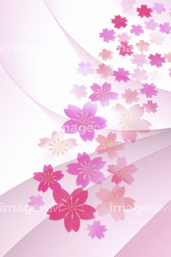 桜 テクスチャー 桜の花びら の画像素材 花 植物の写真素材ならイメージナビ