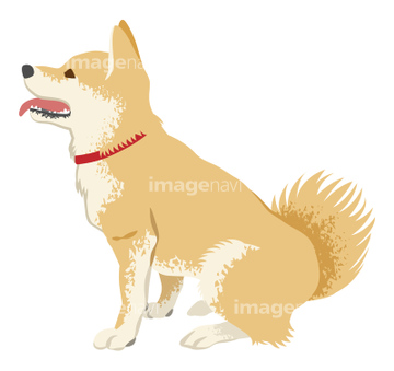 犬のイラスト特集 柴犬 楽しみ イラスト の画像素材 年賀 グリーティングのイラスト素材ならイメージナビ