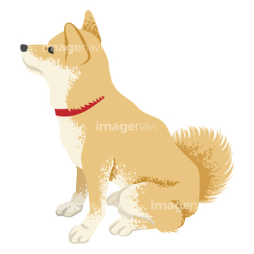 犬のイラスト特集 柴犬 戌年 イラスト の画像素材 年賀 グリーティングのイラスト素材ならイメージナビ