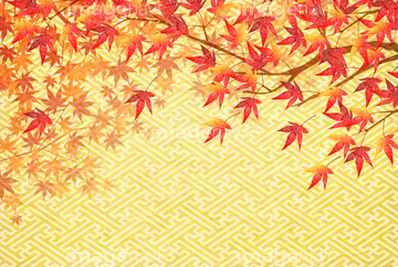 紅葉 和柄 秋 赤色 金色 の画像素材 季節 イベント イラスト Cgの写真素材ならイメージナビ