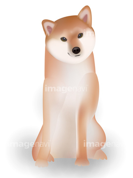 犬のイラスト特集 柴犬 イラスト の画像素材 年賀 グリーティングのイラスト素材ならイメージナビ