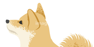 犬のイラスト特集 柴犬 イラスト の画像素材 生き物 イラスト Cgのイラスト素材ならイメージナビ