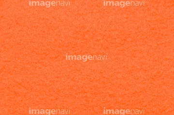 オレンジ色背景 の画像素材 その他植物 花 植物の写真素材ならイメージナビ