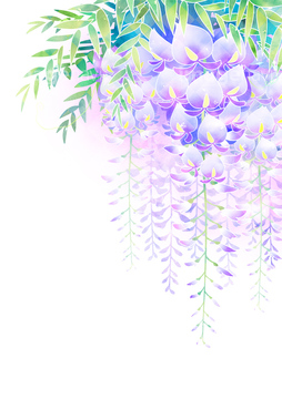 藤の花 の画像素材 イラスト素材ならイメージナビ