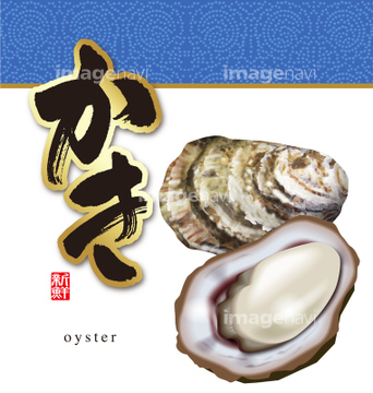 貝 イラスト 牡蠣 二枚貝 綺麗 の画像素材 海の動物 生き物のイラスト素材ならイメージナビ
